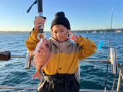 With‐Oceanの写真4