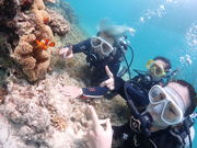 ダイブハウスマンタ石垣島の写真3