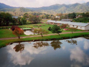 八剣山果樹園の写真3