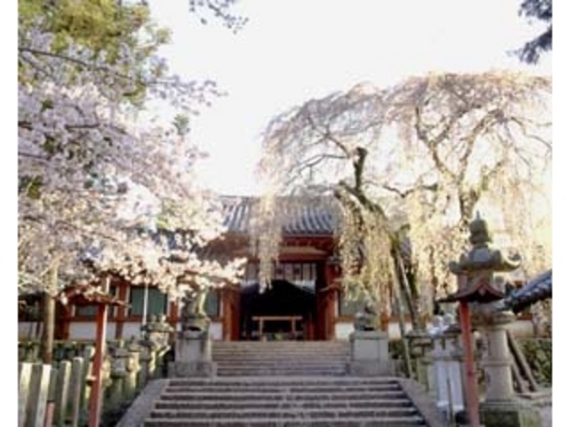 奈良市観光協会
