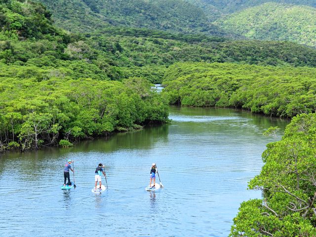 島の90%が国立公園_西表島ツアーNGAF