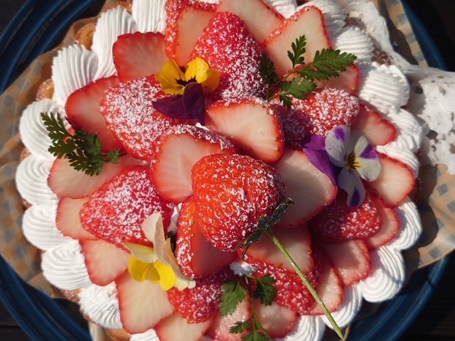 季節のフルーツをふんだんに使ったケーキを_農園ガーデン空 コモレビ農園