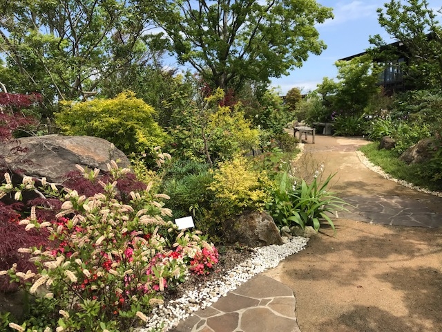 農園ガーデン空 コモレビ農園