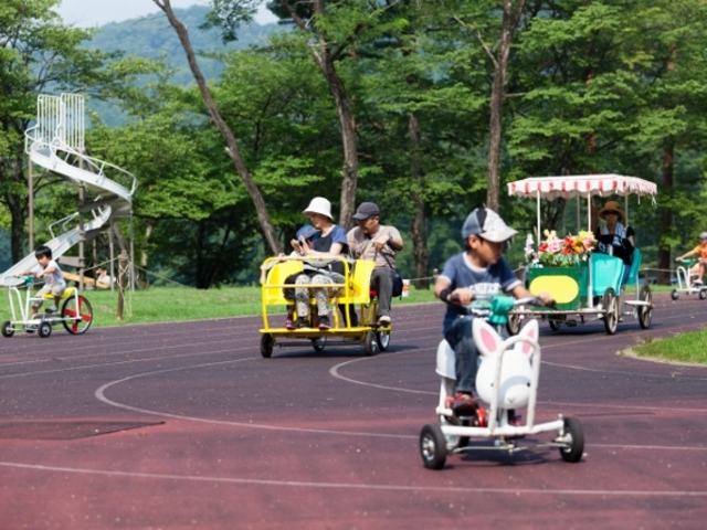 白馬グリーンスポーツの森