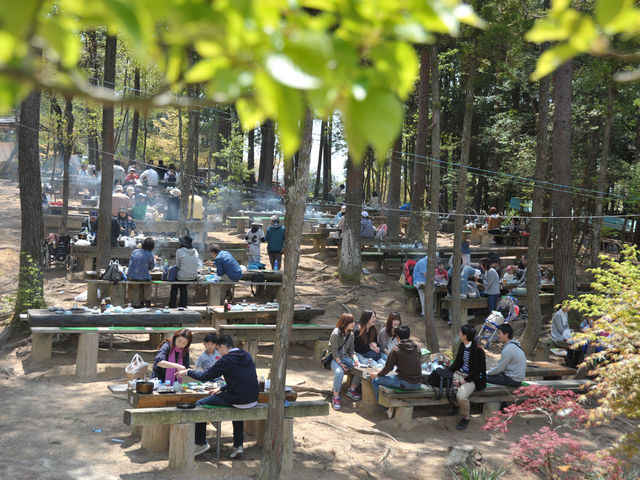 しい茸園有馬富士