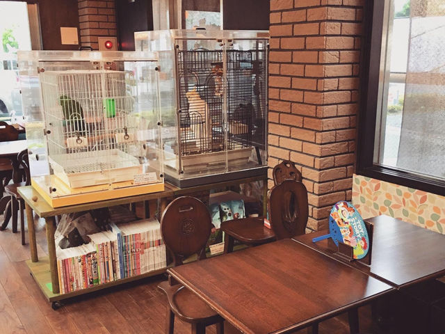 オウムのカフェ FREAK