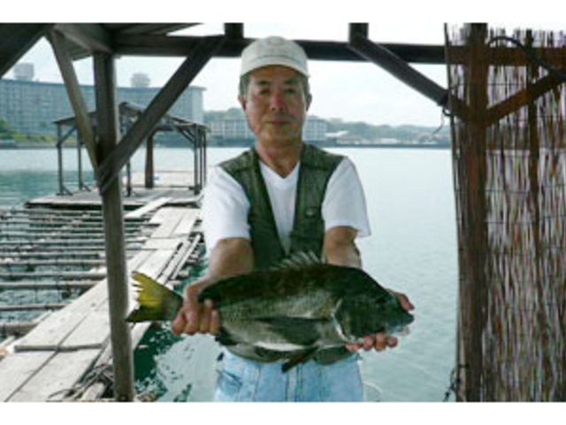 チヌが良く釣れます_鳥の巣釣り場