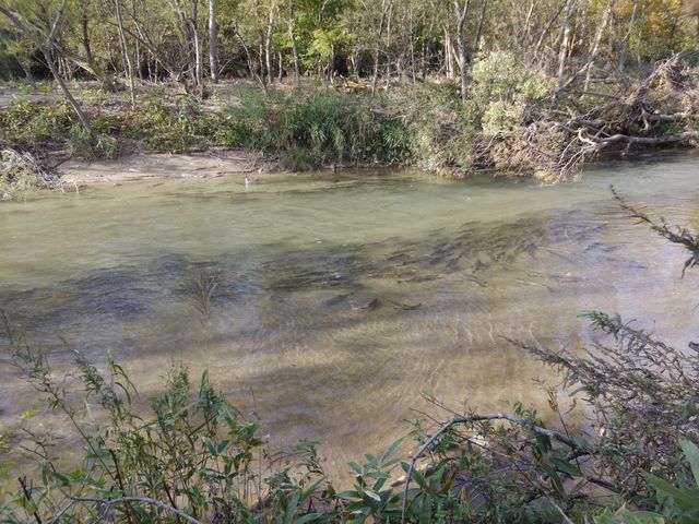 ウヨロ川