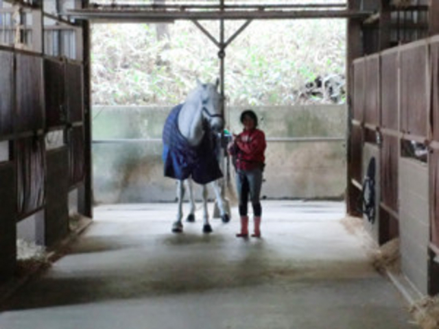 エンゼル乗馬クラブ