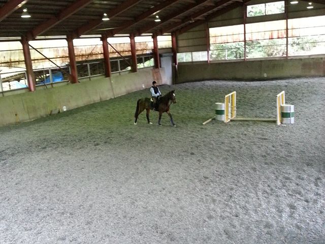 エンゼル乗馬クラブ