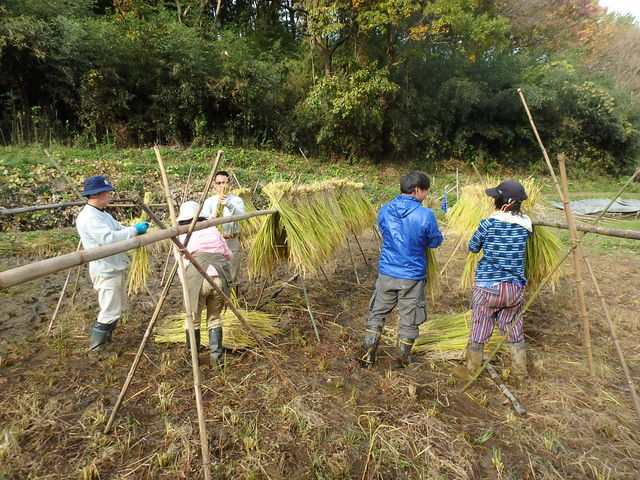 和の文化「遊山房」