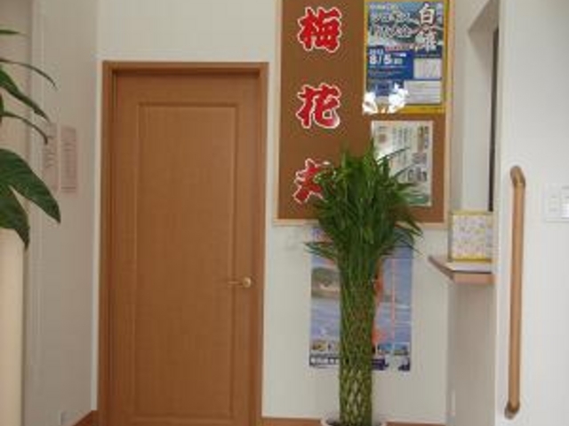 梅花丸