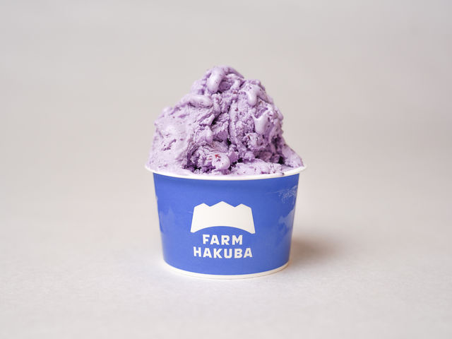 ブルーベリーを使ったジェラートも並ぶ日もあります✨販売フレーバーは日替わりです。_白馬農場 ブルーベリー園