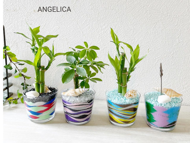 サブルアート(観葉植物orフォトクリップ)_ANGELICA