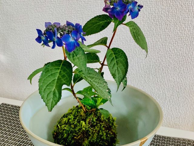ラブジャパンブランド