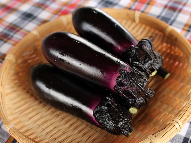 畑の野菜達その2
ナス_体験農園「きときとファーム」