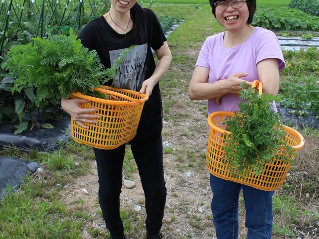収穫体験その2
お友達と一緒に。
「今晩の食材をGET!」_体験農園「きときとファーム」