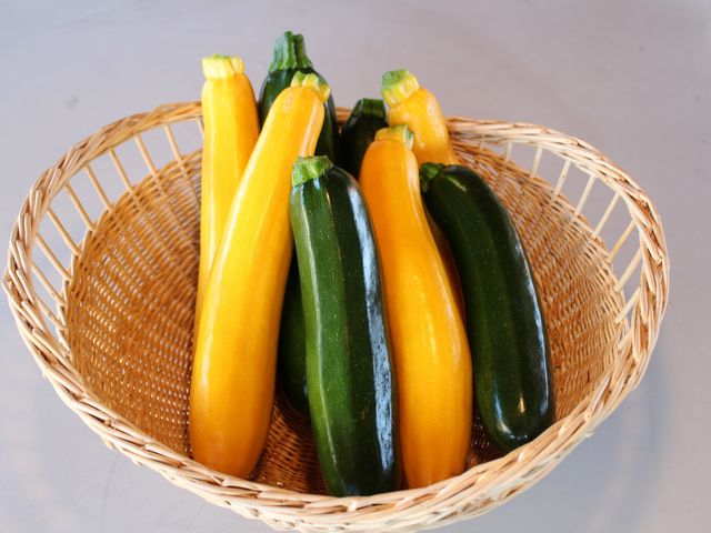 畑の野菜達その1
ズッキーニ_体験農園「きときとファーム」