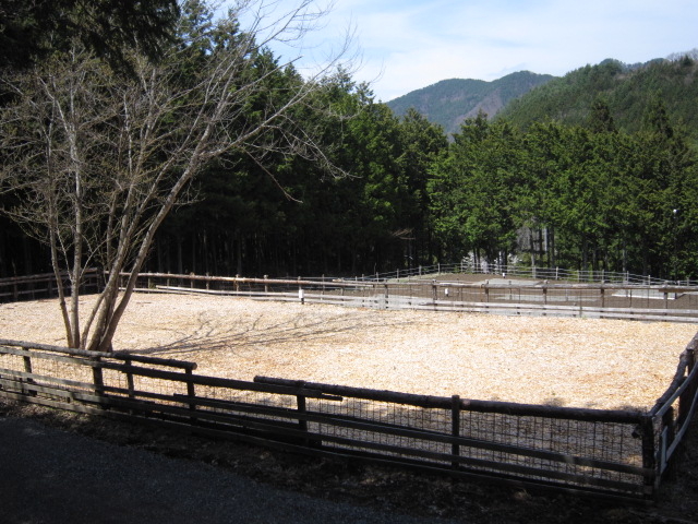 キャンプ場1画には、ドックランもございます★_都留市戸沢の森和みの里キャンプ場