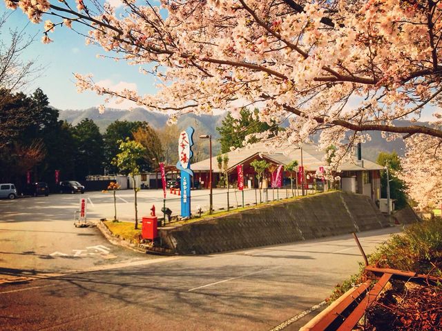 とがやま温泉 天女の湯