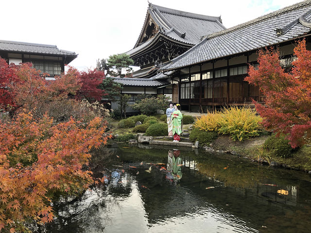 紅葉の撮影会_舞妓さん交流と撮影会【京と花街文化ファンクラブ】