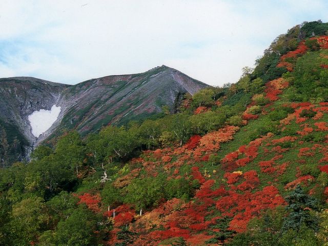 嵐山タクシー