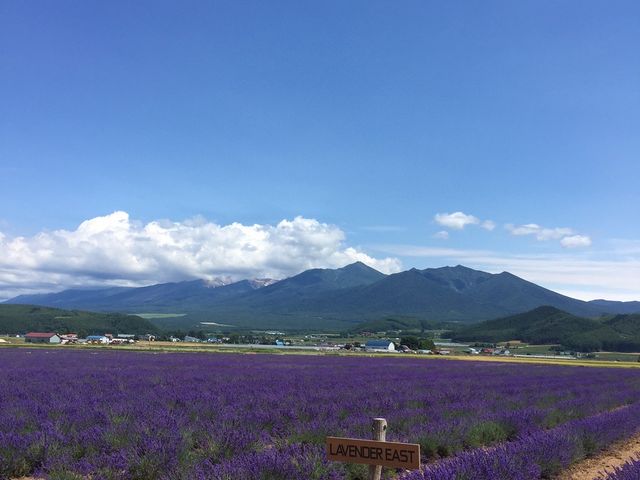 嵐山タクシー