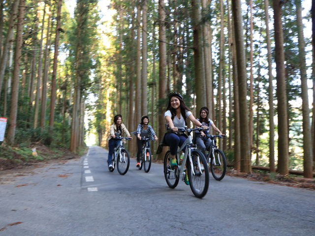 長良川サイクルクルーズ