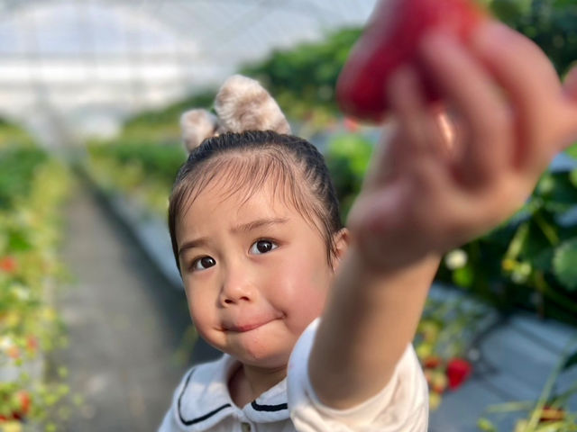 かわいい写真もいっぱい撮って帰ってくださいね♪_春光園