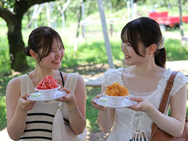 いちご削り・柿削り
収穫後にキンキンなフルーツ削りをぜひ♪_春光園