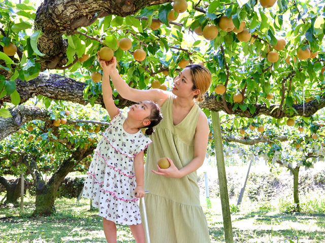 お子さんも楽しめます♪_春光園