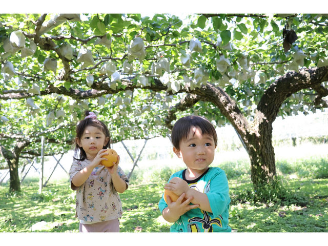 お子さんも楽しめます♪_春光園