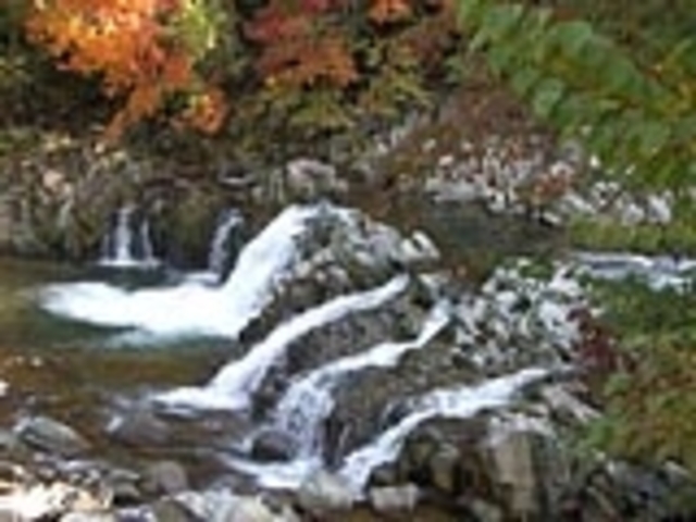 自然美 飛騨高山日帰り温泉 ひだまりの湯 _飛騨高山温泉 ひだまりの湯