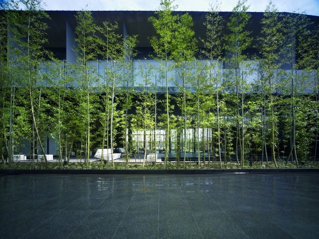 「竹と水」をテーマにした中庭。_ザ・メイビア宮崎
