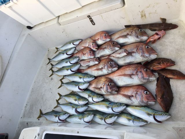 DELSOL Fishing Guide Service