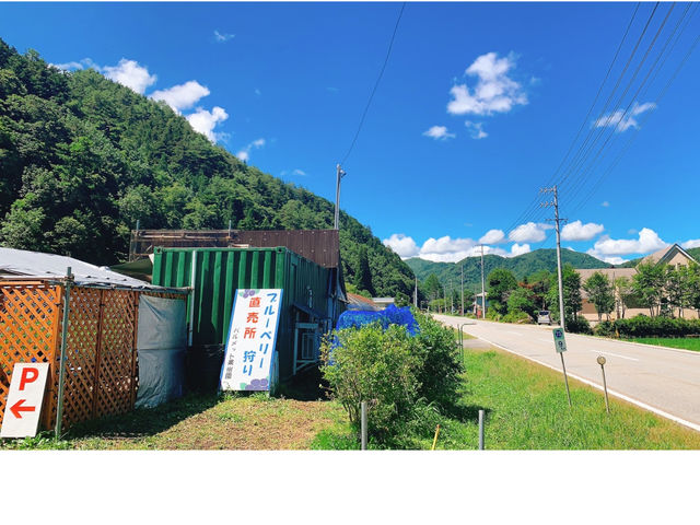 パルメット果樹園