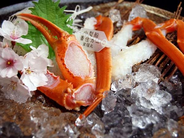 「紅ズワイガニ」のお刺身です!鮮度抜群ですよ!_旅館 みなと荘