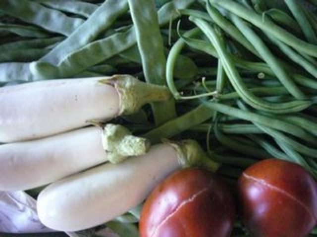 グリーンシーズンは自家栽培の野菜も登場!_食彩館アルビン