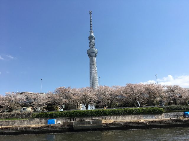 スカイツリー_トップマリーナ クルージング