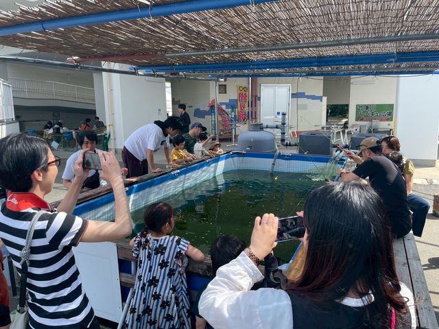 併設されているプチ釣堀には旬の魚が一杯入ってます!手軽に釣り体験!_武庫川渡船バーベキュー広場/尼崎運河クルーズ