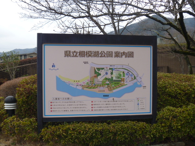 県立相模湖公園