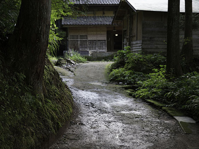 おおかみこどもの花の家