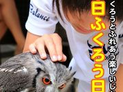フクロウカフェOZの写真4