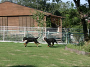 フラウヘンの写真2