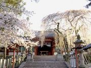 奈良市観光協会の写真4