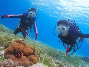 アクアドロップの写真3