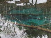 摩周ハイヤーの写真4