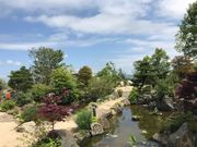 農園ガーデン空 コモレビ農園の写真4