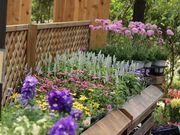 Coppice GARDENの写真2