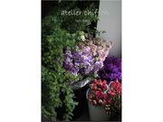 アトリエ シフォンの写真3